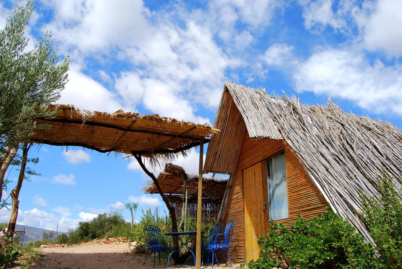 Amber Lagoon Backpackers Lodge Vleirivier Exteriér fotografie